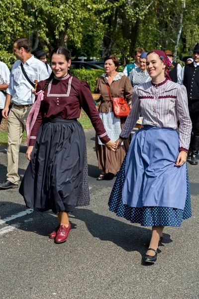 Desfile tradicional húngaro de cosecha el 11 de septiembre de 2016 — Foto de Stock