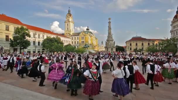 Festival Internazionale del Folclore il 16 agosto 2016 in Ungheria, città di Pecs , — Video Stock