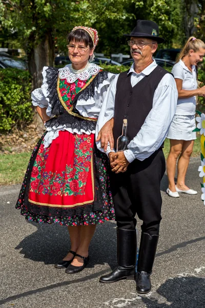 Desfile tradicional húngaro de cosecha el 11 de septiembre de 2016 — Foto de Stock