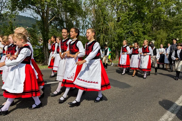 11 Eylül 2016'da geleneksel Macar hasat geçit töreni — Stok fotoğraf