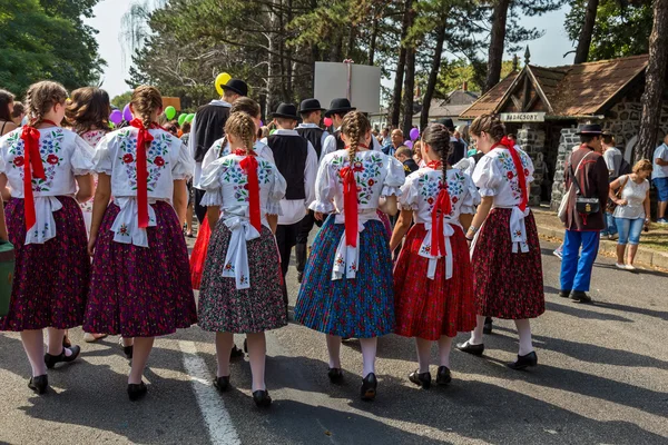 Desfile tradicional húngaro de cosecha el 11 de septiembre de 2016 —  Fotos de Stock