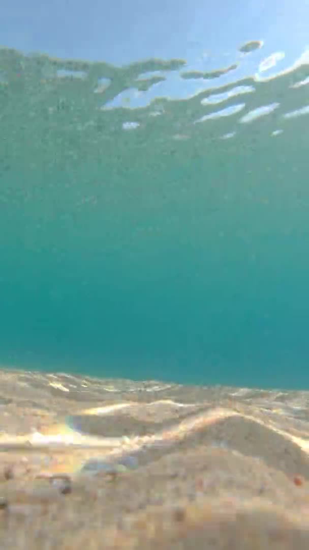 Transparent Blue Water Beach Spanish Costa Brava Man Swimming Freestyle — Stock Video