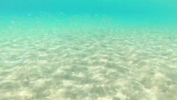 西班牙科斯塔布拉瓦海滩上透明的蓝色海水 手持录像 — 图库视频影像