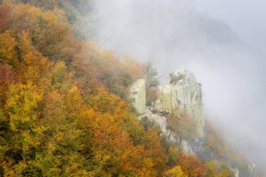 İspanyol dağı Montseny 'den sonbahar fotoğrafı, Santa fe del Montseny, Katalonya yakınlarından.