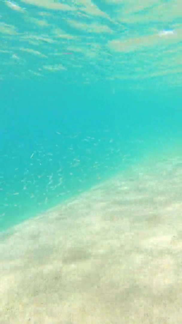 Прозора Блакитна Вода Пляжі Іспанській Коста Браві Зроблені Вертикальні Кадри — стокове відео