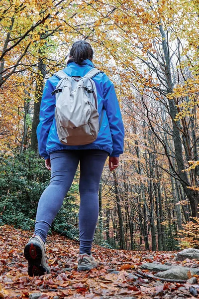Genç Turist Kadın Bulutlu Bir Günde Sonbahar Zamanı Spanyol Pirenesi — Stok fotoğraf