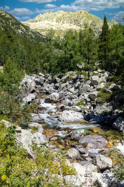 Krásná Horská Krajina Pyrenejí Potokem Španělska Katalánska — Stock fotografie