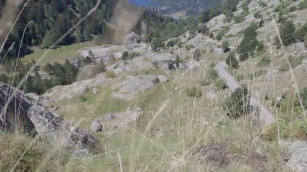 Katalonya Daki Spanyol Pireneleri Nin Güzel Aigestortes Estany Sant Maurici — Stok video