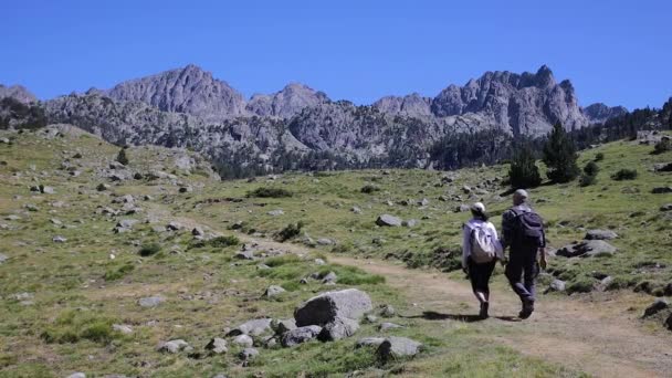 Turistas Caminando Por Montaña Los Pirineos Españoles Día Soleado — Vídeo de stock