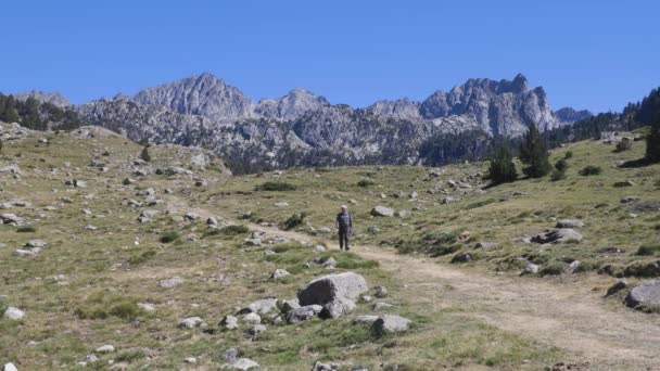 Paseo Turístico Por Montaña Los Pirineos Españoles Día Soleado — Vídeos de Stock