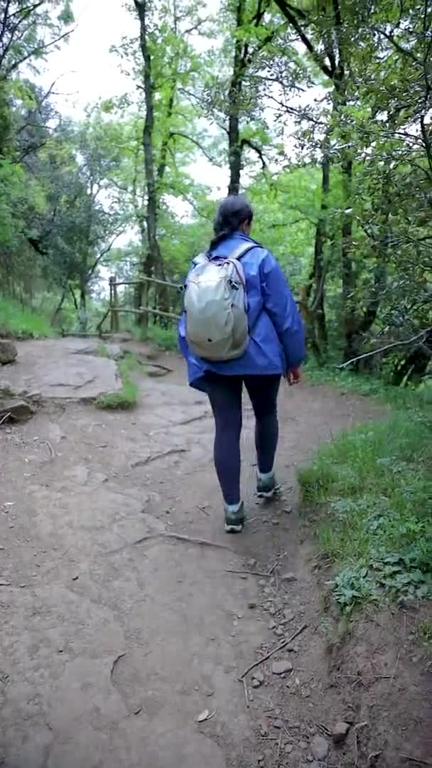 Wanita Turis Berjalan Hutan Rekaman Gerakan Lambat Penggunaan Rekaman Vertikal — Stok Video