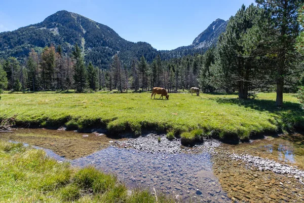 Slavný Aiguestortes Estany Sant Maurici Národní Park Španělské Pyrenejské Hory — Stock fotografie