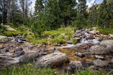 La Cerdanya 'da küçük bir dere, Pirenes Dağı, Katalonya, İspanya.
