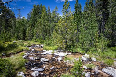 La Cerdanya 'da küçük bir dere, Pirenes Dağı, Katalonya, İspanya.