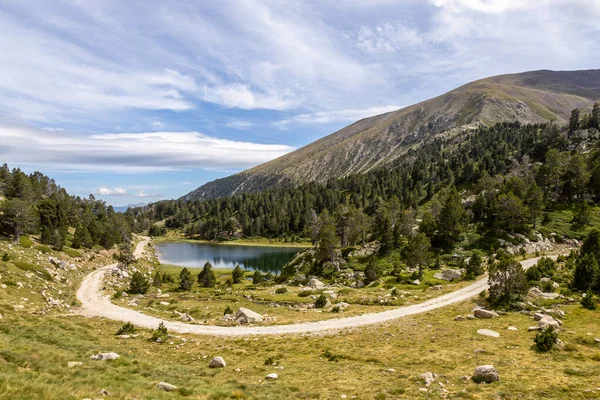 Paisagem Verão Cerdanya Lago Pera Montanha Dos Pirenéus Catalunha Espanha — Fotografia de Stock