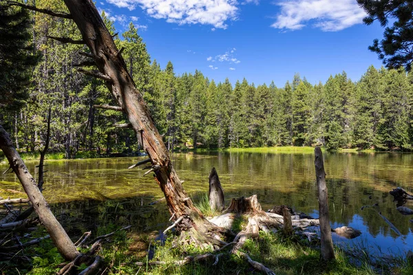 Paisaje Verano Cerdanya Montaña Pirineo Cataluña España — Foto de Stock