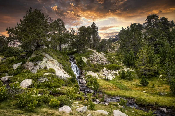 Pôr Sol Paisagem Verão Com Pequeno Riacho Cerdanya Montanha Dos — Fotografia de Stock