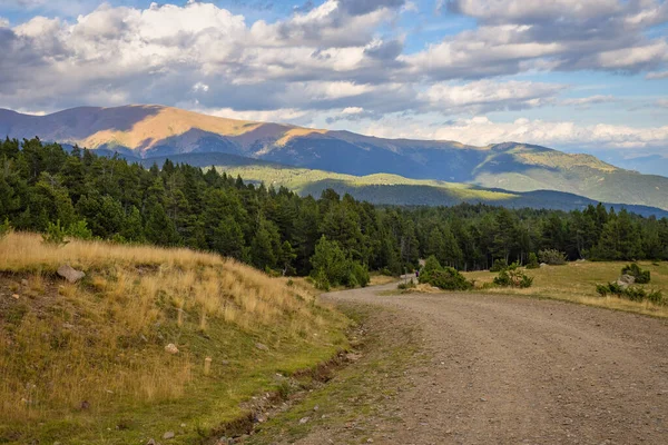 Paisaje Verano Con Carretera Forestal Cerdanya Pirineo Cataluña España — Foto de Stock