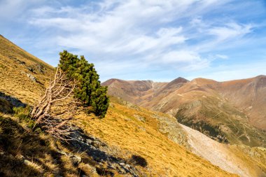 güzel dağ zirveleri İspanya
