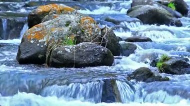 (İspanya pirineus güzel nehir detay)