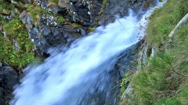 Bella cascata di velo a cascata, rocce muschiose — Video Stock