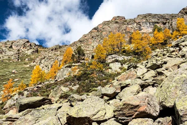 Berg — Stockfoto