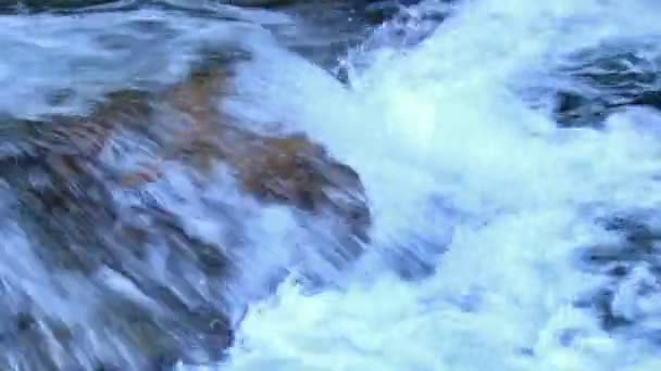 Sungai detail pada Pirineus (Spanyol ) — Stok Video
