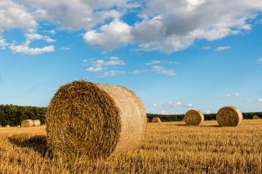 Straw bales clipart