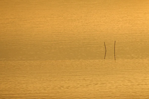 Luz del atardecer — Foto de Stock