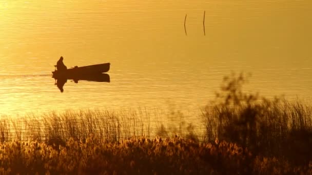 Μικρό σκάφος στη λίμνη στο φως ηλιοβασιλέματος — Αρχείο Βίντεο