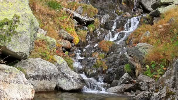 Beautiful veil cascading waterfall, mossy rocks — Stock Video