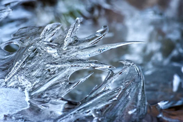 Forma de gelo — Fotografia de Stock