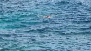 Denizin içinde kas yüzücü