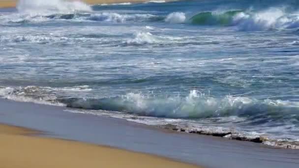 Grandes vagues — Video