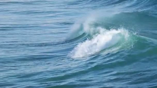 Big waves in Spain — Stock Video