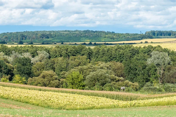 Landschaft — Stockfoto