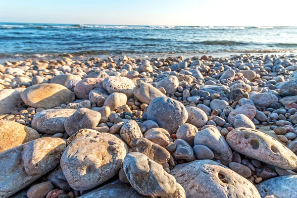 Plage côtière avec galets — Photo