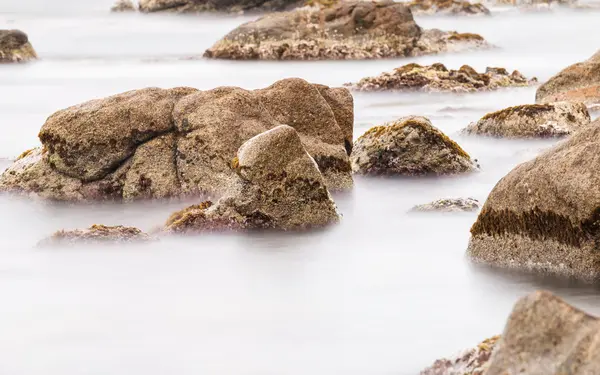 Detalhe da costa espanhola (Costa Brava ) — Fotografia de Stock