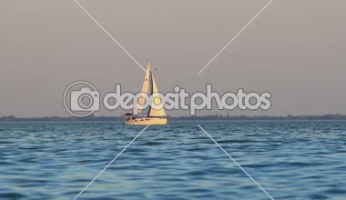 Dalgalar deniz yosunu ile göle