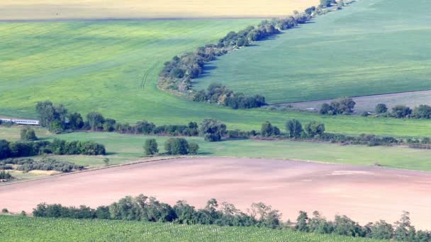 Landschap met trein — Stockvideo