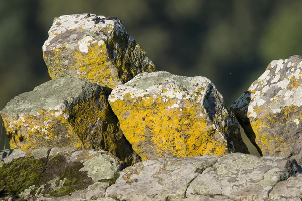 Interesante basalto columnar en Hungría — Foto de Stock