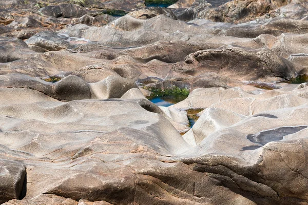 Superficie de una piedra marina — Foto de Stock