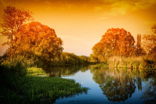 Stillleben bei Sonnenuntergang — Stockfoto