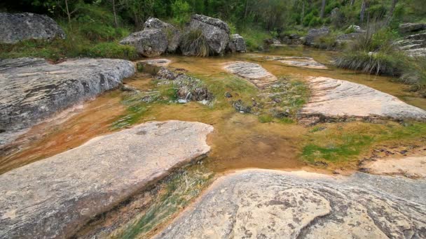 Hermoso río pequeño — Vídeos de Stock