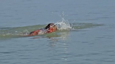 Denizin içinde kas yüzücü