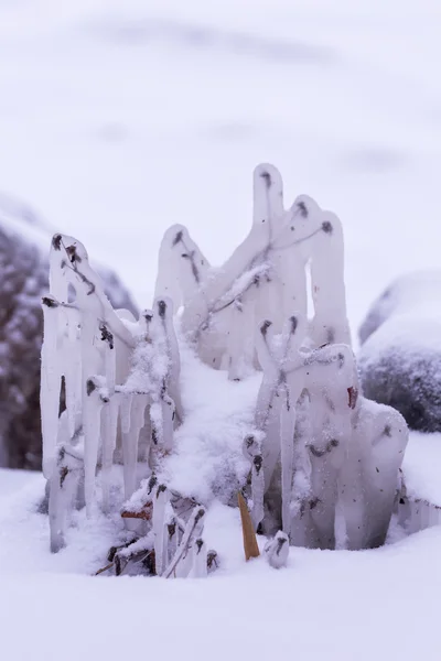 Giornata fredda invernale — Foto Stock