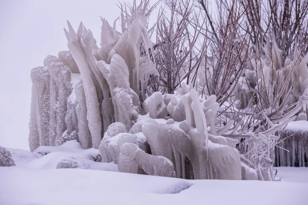 Zi rece de iarnă — Fotografie, imagine de stoc