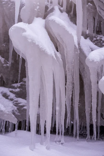 Giornata fredda invernale — Foto Stock