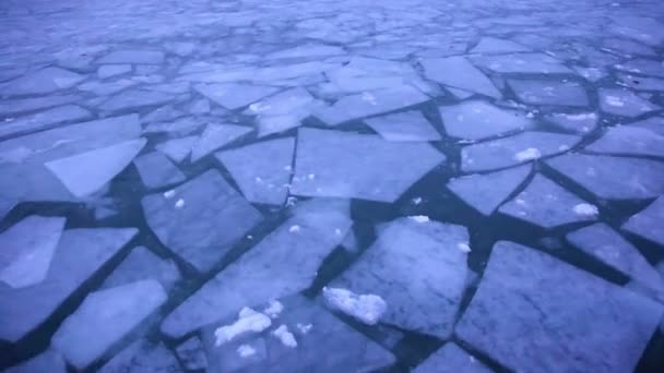 Ice blocks on the lake — Stock Video