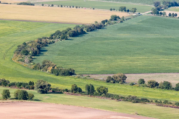 Hungarian agricultural  landscape — Stock Photo, Image